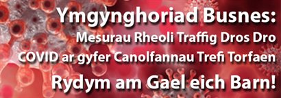 TEE Consultation banner WELSH