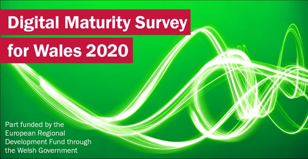 Digital Maturity Survey 2020 Banner